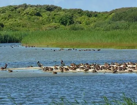 Maison Du Lac Pierre Et Vacances Belle Dune *
